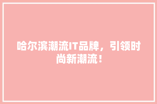 哈尔滨潮流IT品牌，引领时尚新潮流！
