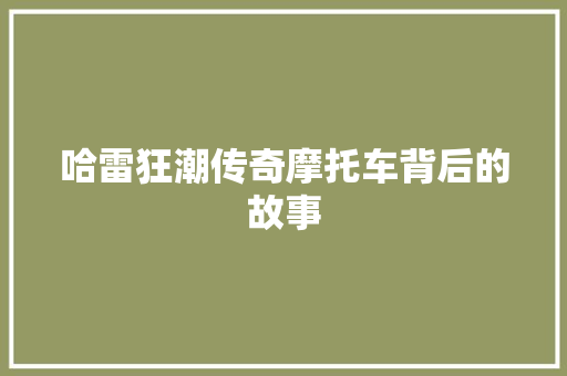 哈雷狂潮传奇摩托车背后的故事 神马SEO