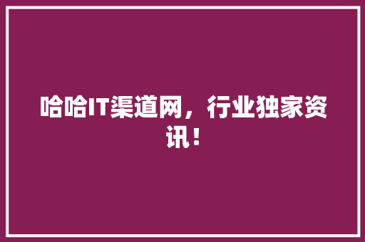 哈哈IT渠道网，行业独家资讯！ 必应SEO