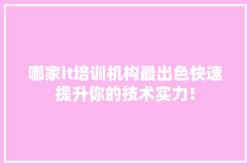 哪家it培训机构最出色快速提升你的技术实力！ 必应SEO