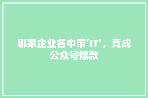 哪家企业名中带‘IT’，竟成公众号爆款 神马SEO