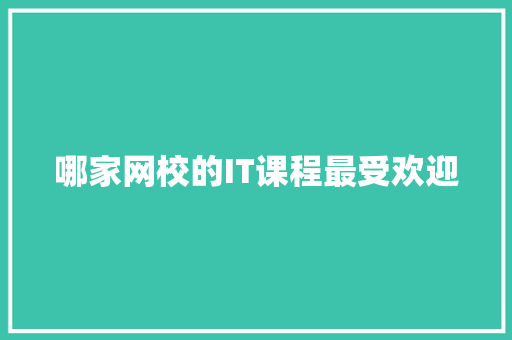 哪家网校的IT课程最受欢迎 神马SEO