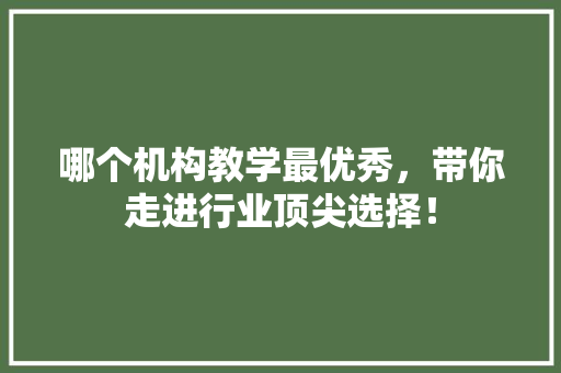 哪个机构教学最优秀，带你走进行业顶尖选择！ 神马SEO