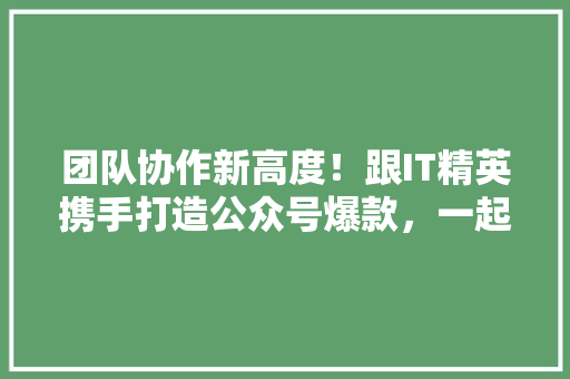 团队协作新高度！跟IT精英携手打造公众号爆款，一起飞！