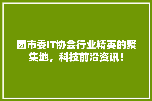 团市委IT协会行业精英的聚集地，科技前沿资讯！ 网站建设公司