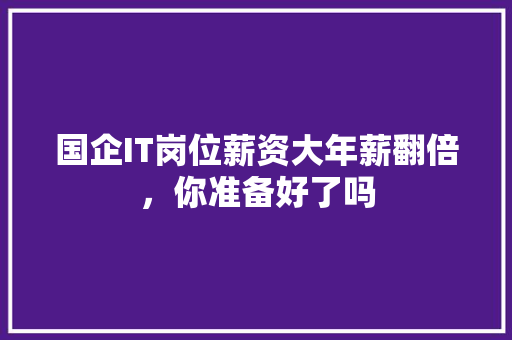 国企IT岗位薪资大年薪翻倍，你准备好了吗 神马SEO