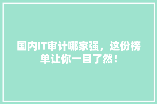 国内IT审计哪家强，这份榜单让你一目了然！