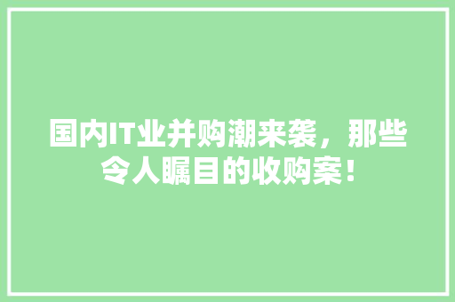 国内IT业并购潮来袭，那些令人瞩目的收购案！
