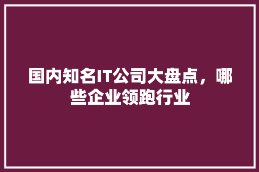 国内知名IT公司大盘点，哪些企业领跑行业