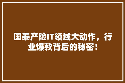 国泰产险IT领域大动作，行业爆款背后的秘密！