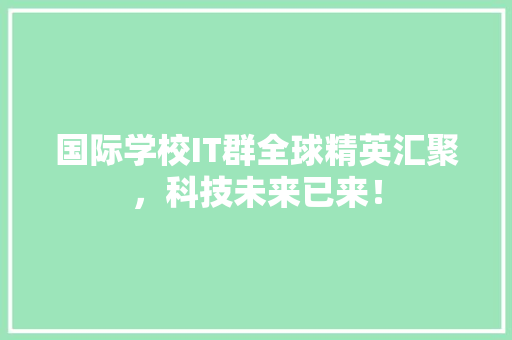 国际学校IT群全球精英汇聚，科技未来已来！