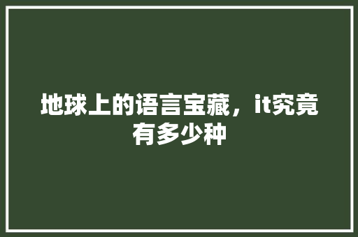 地球上的语言宝藏，it究竟有多少种 网站建设公司