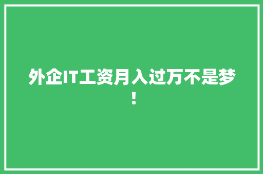 外企IT工资月入过万不是梦！ SEO关键词