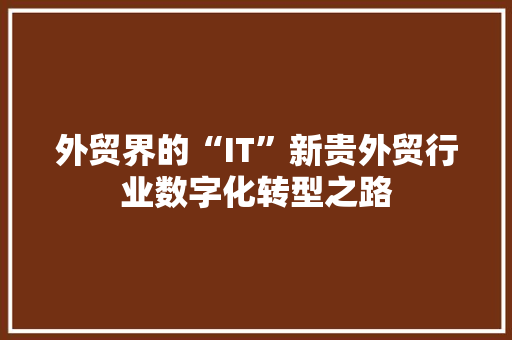 外贸界的“IT”新贵外贸行业数字化转型之路 必应SEO
