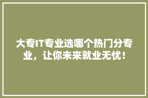 大专IT专业选哪个热门分专业，让你未来就业无忧！