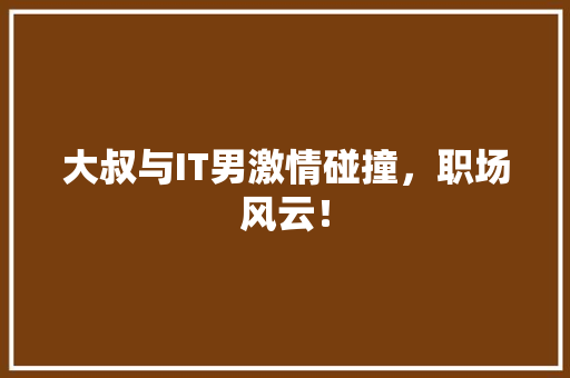 大叔与IT男激情碰撞，职场风云！