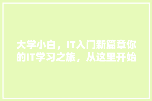 大学小白，IT入门新篇章你的IT学习之旅，从这里开始！