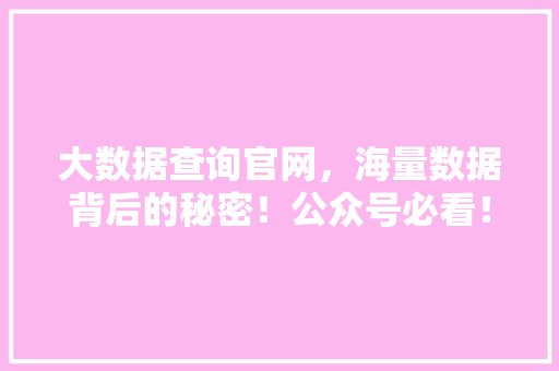 大数据查询官网，海量数据背后的秘密！公众号必看！