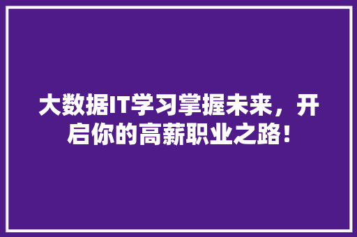 大数据IT学习掌握未来，开启你的高薪职业之路！ 神马SEO