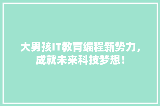 大男孩IT教育编程新势力，成就未来科技梦想！