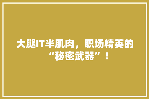 大腿IT半肌肉，职场精英的“秘密武器”！ SEO关键词