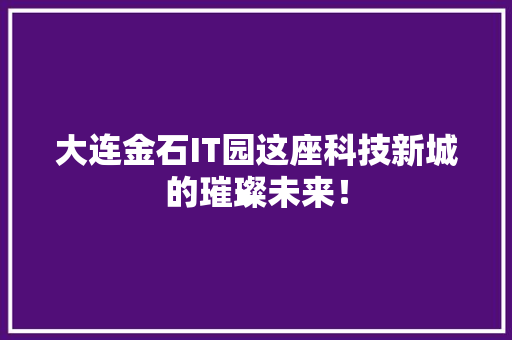 大连金石IT园这座科技新城的璀璨未来！ 百度SEO
