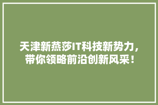 天津新燕莎IT科技新势力，带你领略前沿创新风采！ 百度SEO