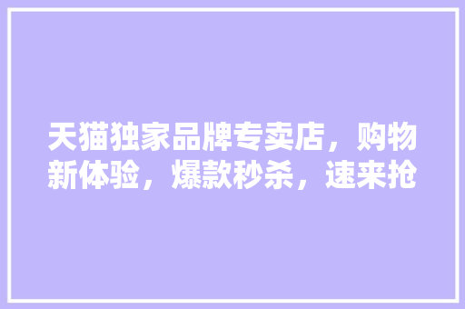 天猫独家品牌专卖店，购物新体验，爆款秒杀，速来抢购！ SEO关键词