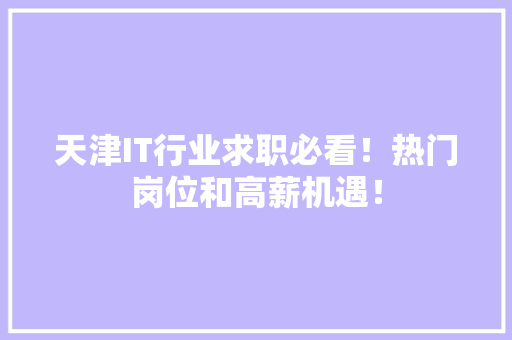 天津IT行业求职必看！热门岗位和高薪机遇！ SEO关键词
