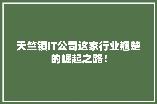 天竺镇IT公司这家行业翘楚的崛起之路！
