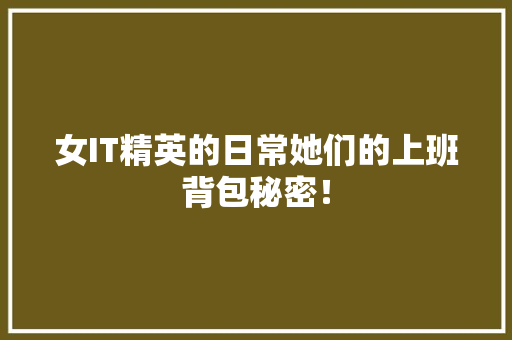 女IT精英的日常她们的上班背包秘密！