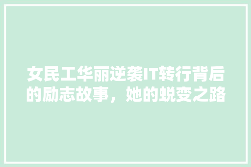 女民工华丽逆袭IT转行背后的励志故事，她的蜕变之路！