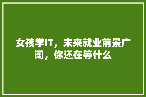 女孩学IT，未来就业前景广阔，你还在等什么 网站建设公司