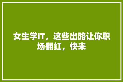 女生学IT，这些出路让你职场翻红，快来 网站建设公司