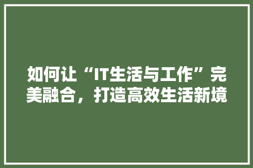 如何让“IT生活与工作”完美融合，打造高效生活新境界！ 必应SEO