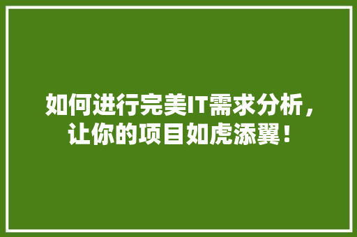 如何进行完美IT需求分析，让你的项目如虎添翼！