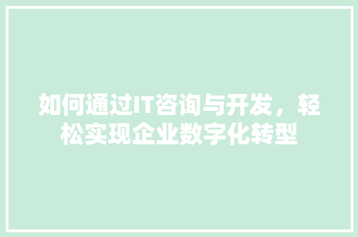 如何通过IT咨询与开发，轻松实现企业数字化转型 百度SEO