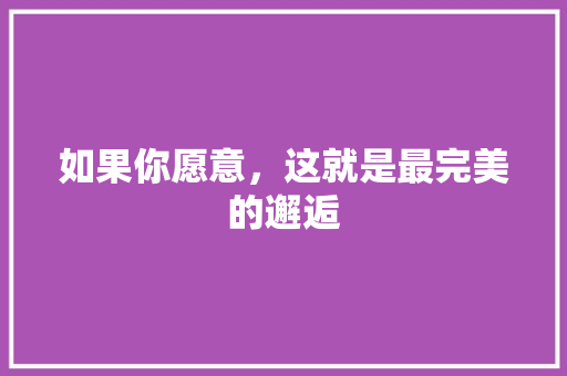 如果你愿意，这就是最完美的邂逅 网站建设公司