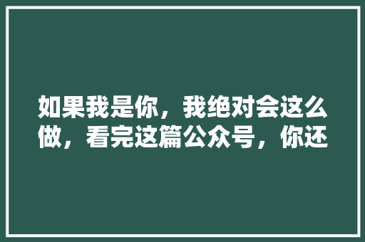 如果我是你，我绝对会这么做，看完这篇公众号，你还会犹豫吗
