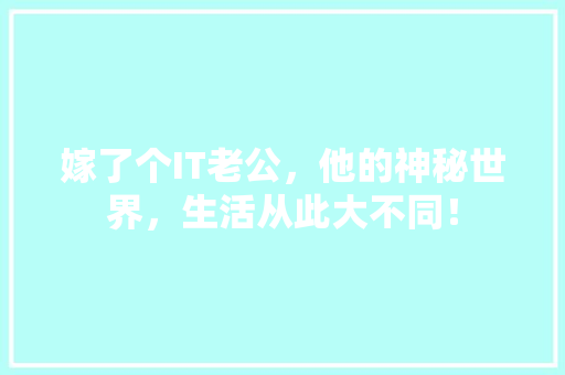 嫁了个IT老公，他的神秘世界，生活从此大不同！