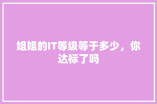 姐姐的IT等级等于多少，你达标了吗
