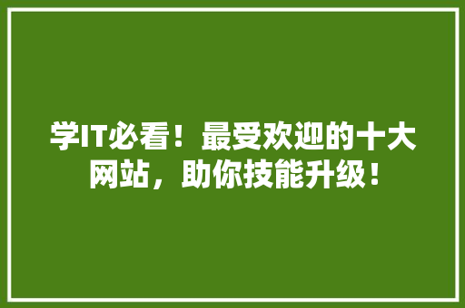 学IT必看！最受欢迎的十大网站，助你技能升级！ 必应SEO
