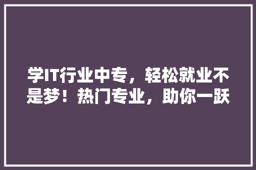 学IT行业中专，轻松就业不是梦！热门专业，助你一跃成为高薪人才