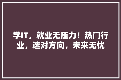 学IT，就业无压力！热门行业，选对方向，未来无忧
