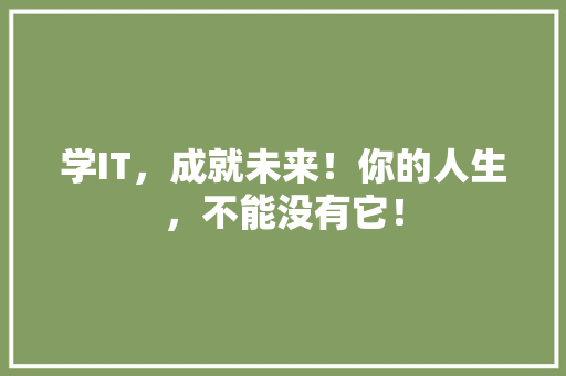 学IT，成就未来！你的人生，不能没有它！