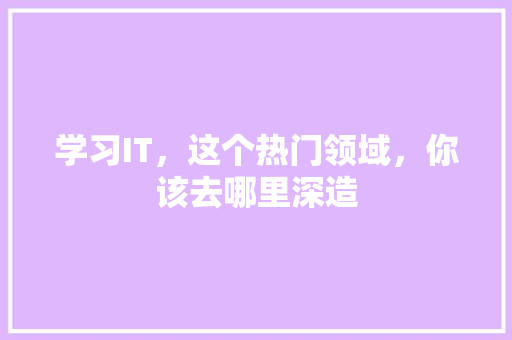 学习IT，这个热门领域，你该去哪里深造