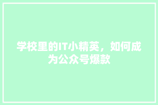 学校里的IT小精英，如何成为公众号爆款