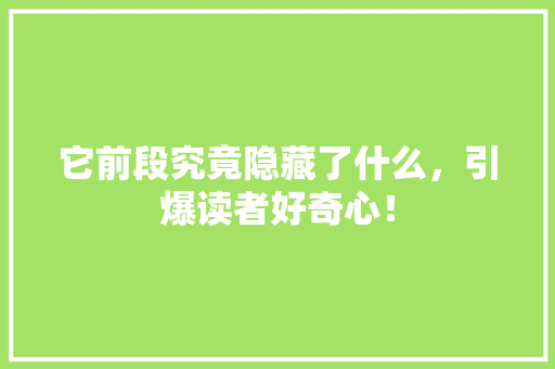 它前段究竟隐藏了什么，引爆读者好奇心！