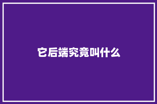 它后端究竟叫什么