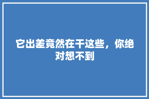 它出差竟然在干这些，你绝对想不到